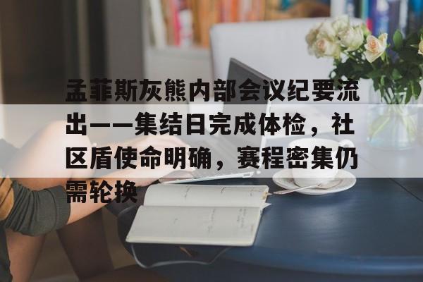 开云体育iOS版下载-孟菲斯灰熊对阵菲尼克斯太阳